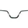 ProTaper 024050 EVO Pan-America Handlebar