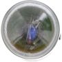 Philips R5WLLB2 Philips LongerLife Miniature R5WLL