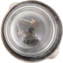 Philips 12829CP Philips Standard Minature 12829