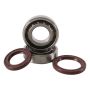 Hot Rods K092 15-17 KTM 250 SX-F Factory 250cc Main Bearing & Seal Kit