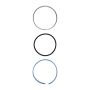 Bilstein 13337438 B1 (Components) - Replacement Wear Band Kit