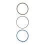 Bilstein 13347680 B1 (Components) - Replacement Wear Band Kit