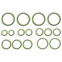 Global Parts Distributors LLC 1321250 gpd Rapid Seal Kit 1321250