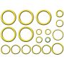 Global Parts Distributors LLC 1321318 gpd Rapid Seal Kit 1321318