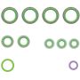 Global Parts Distributors LLC 1321395 gpd Rapid Seal Kit 1321395