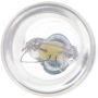 Philips W5WCP-24V Philips Standard Minature W5W-24v Pack of 10
