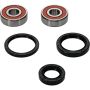 Pivot Works 25-1307-P Honda Wheel Bearing Kit Premium Bearings