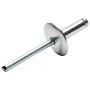 ALLSTAR PERFORMANCE ALL18010 Lg Hd Rivet Silver 250pk
