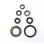 Athena P400485400216 Engine Oil Seal Kits