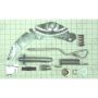 Autopart International Brake Self Adj. Repair Kit 140612243