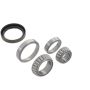 Autopart International Wheel Bearing Kit 141003066
