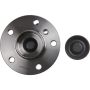 Autopart International Wheel Hub Assembly 1411605410