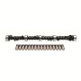 EDELBROCK EDE5002 SBC Cam & Lifter Kit