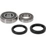 Pivot Works 25-1689-P Wheel Bearing Kit