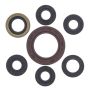 Vertex Pistons 822201 Vertex Gaskets 04-08 Arctic Cat 400 DVX Oil Seal Kit
