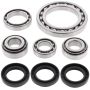 All Balls Racing 25-2022 01-02 Arctic Cat 250 4x4 Differential Bearing & Seal Kit Front