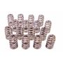 PAC RACING SPRINGS PACPAC-1215-16 1.290 Valve Springs Ovate Beehive (16)
