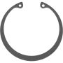 Autopart International Wheel Brng. Retainer 1490324706