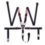 RACEQUIP RQP841001 Harness 5pt Cam 2in P/D Lap Black SFI 16.1