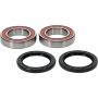 Pivot Works 25-1331-P Wheel Bearing Kit
