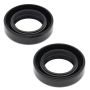 Vertex Pistons 55156 Vertex Gaskets 76-83 Moto Ski Spirit FC/1 Oil Seal Kit