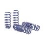 H&R 15-19 Mercedes-Benz C300 Cabrio/C300 Sedan W205 Sport Spring (Non AWD)