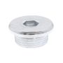 VAICO V10-3882 OIL DRAIN PLUG