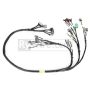 Rywire Honda B/D-Series OBD1 Tucked Budget Engine Harness