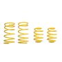 Suspension (65202 ST LOWERING SPRINGS)