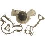 Autopart International Water Pump 160008765