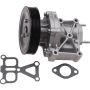 Autopart International Water Pump 1600275039