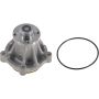 Autopart International Water Pump 1600277029