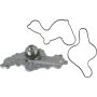 Autopart International Water Pump 1600277030