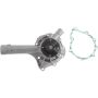 Autopart International Water Pump 160028480
