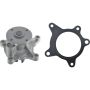 Autopart International Water Pump 1600321342