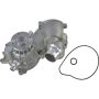 Autopart International Water Pump 1600429350