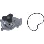Autopart International Water Pump 1600479063