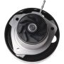 Autopart International Water Pump 1600479142