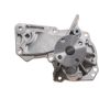 Autopart International Water Pump 1600528587