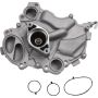 Autopart International Water Pump 1600528841