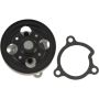 Autopart International Water Pump w/o Rear Housing 160057565