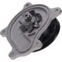 Autopart International Water Pump 1600583927