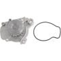 Autopart International Water Pump 160060392