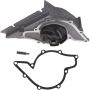 Autopart International Water Pump 1600604180