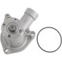 Autopart International Water Pump 160065963