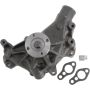 Autopart International Water Pump 160066143