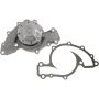 Autopart International Water Pump 160066206