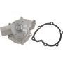 Autopart International Water Pump 160066316