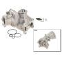 Autopart International Water Pump 160066371