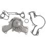Autopart International Water Pump 160066378